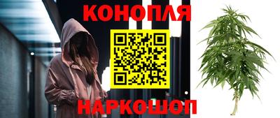 трава Будённовск