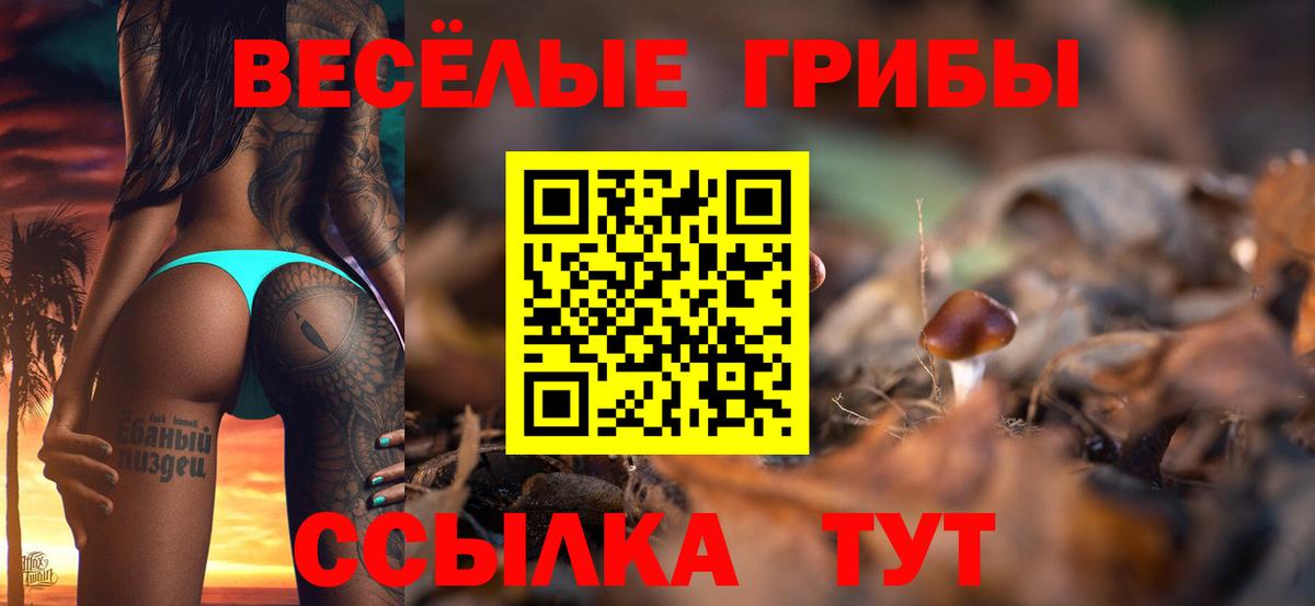 Галлюциногенные грибы мухоморы Таганрог